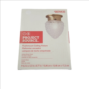 NEW  Project Source Flushmount Ceiling Fixture